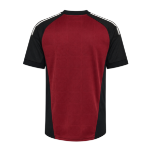 Selección de España camiseta Dos Estrellas Visitante