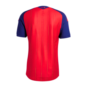 Selección de España camiseta Dos Estrellas